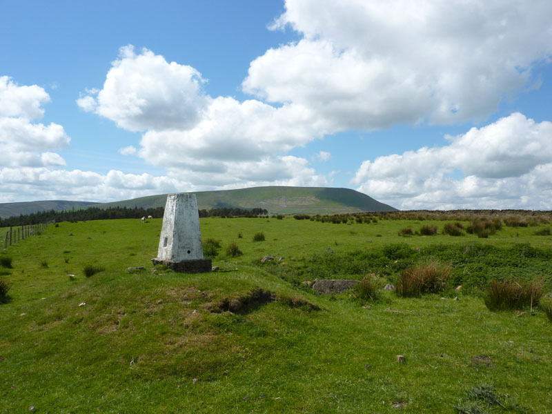 Stang Top Moor